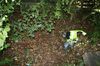 gal/Ville_Propre/_thb_OPERATION DECHETS LAMBRES 090.JPG